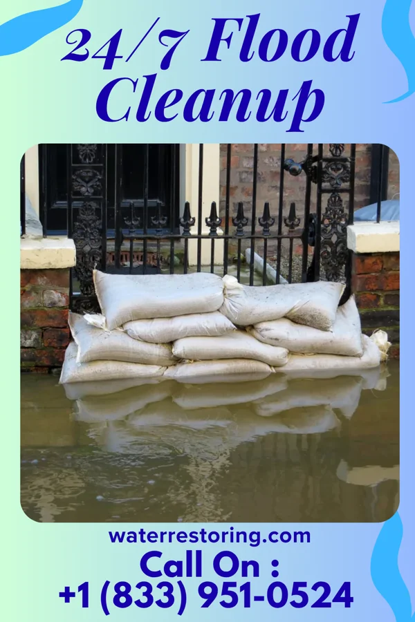 24/7 Flood Cleanup in Trappe, MD