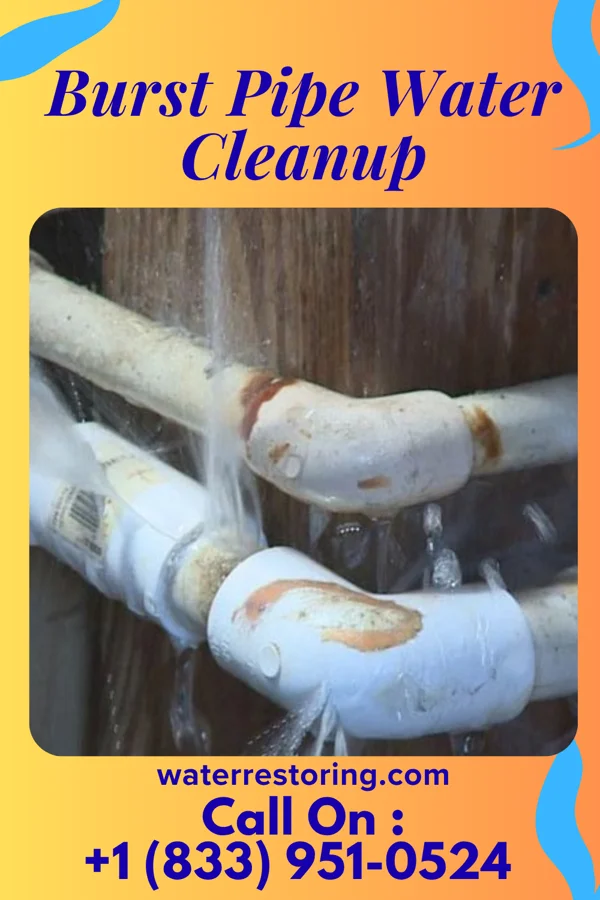 Burst Pipe Water Cleanup in Trappe, MD