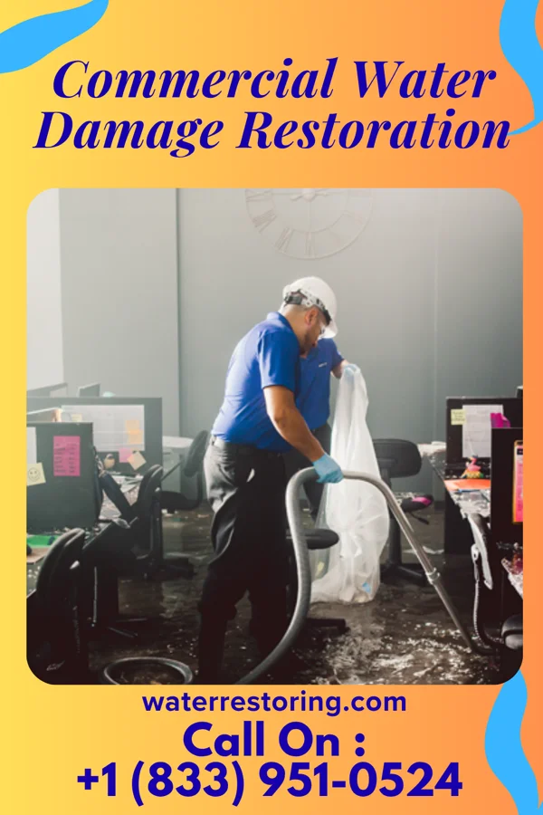 Commercial Water Damage Restoration in Trappe, MD