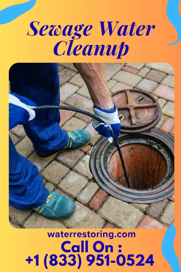 Sewage Water Cleanup in Trappe, MD